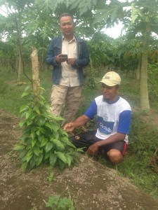 Arif Munandar bersama petani cabe jawa binaannya