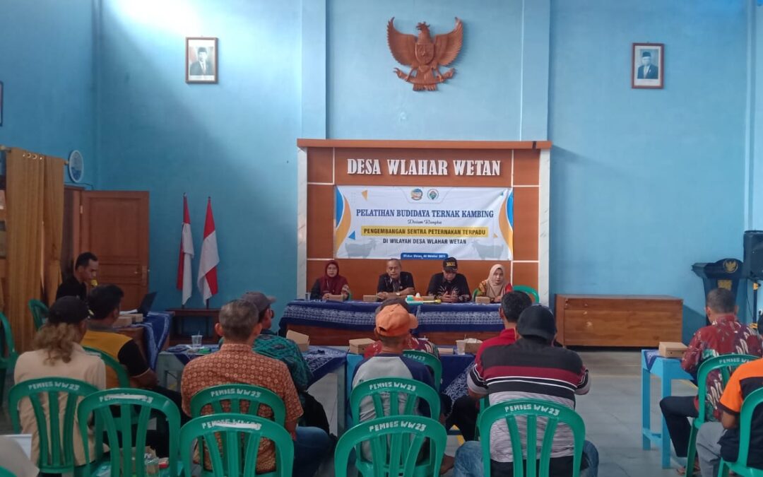 Pelatihan Budidaya Ternak Kambing di Desa Wlahar Wetan